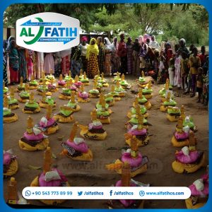 Food Baskets - AS007