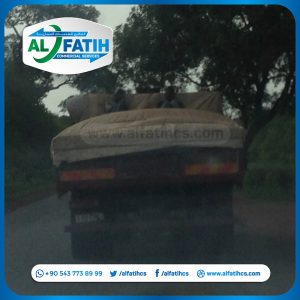 Food Baskets - AS0094