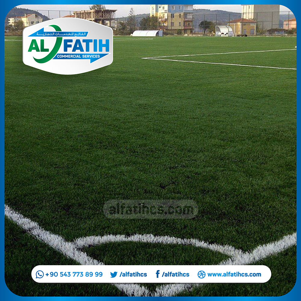 Lion Grass - Image 3