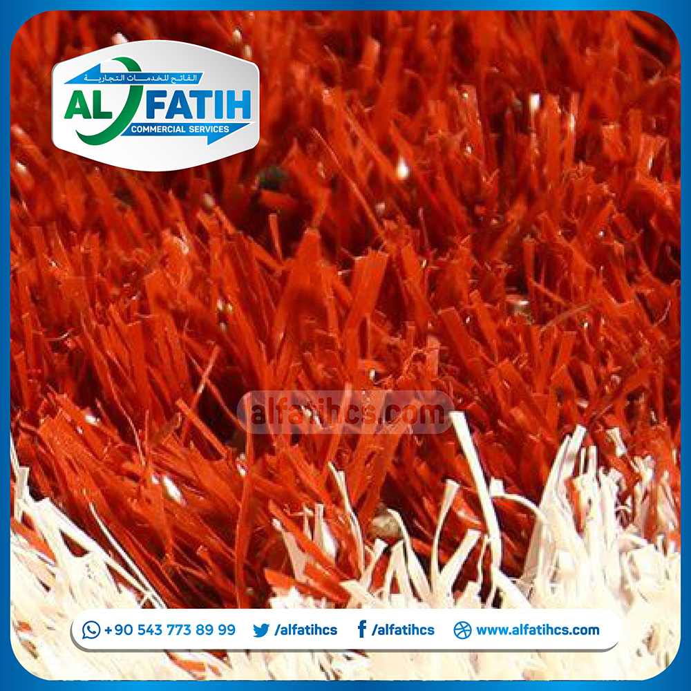 Sandy Grass - Image 4