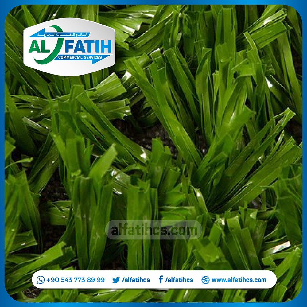 Sandy Grass - Image 5